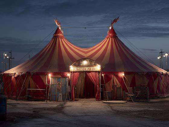 Martinelli Bros Circus